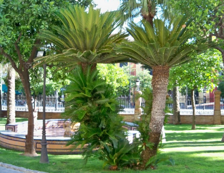 Jardines con césped artificial y piedras