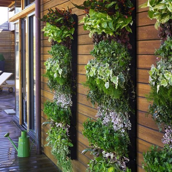 jardines en paredes verticales