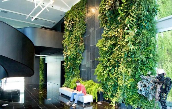 oficina con jardines verticales